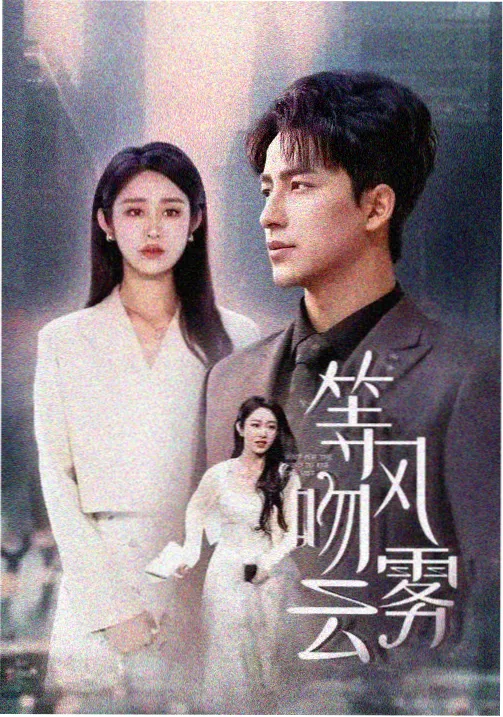 松骨记 武侠医道剧集海报